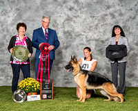 Maturity Victrix/Best In #871  Kenlyn's Lacey