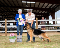 Best of Breed - CH Winsome's Most Valuable Player