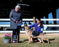 3rd Futurity Junior Dog - Kingdom's Peace Over Fear