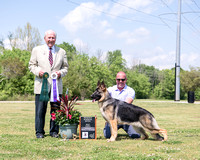 Reserve Winners Bitch/Best Puppy - Signature's Ruby Tuesday