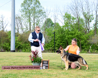 Reserve Winners Bitch/Best Puppy - Signature's Ruby Tuesday