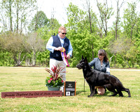 German Shepherd Dog Club of North Georgia 4/20/24 - Judge Randy Darnell