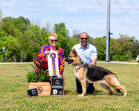 German Shepherd Dog Club of Atlanta 4/20/24 - Judge Ellen Migliore