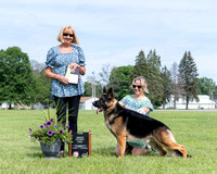 3rd Senior Futurity Dog - Winrock Tng Q Continuum