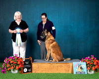 Select Dog - GCHS Taikatalven Iceland