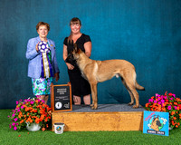 Reserve Winners Dog - #5 G'Power Kwanah