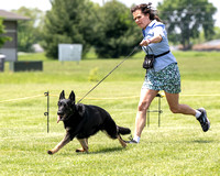 250509_408_DSZ_7419R