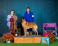 Best Of Breed - #129 GCHB Maski Du Van Lappeenranta Jumbo