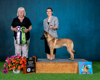 Reserve Winners Bitch/Best Puppy - Jersey Shore Del Rio