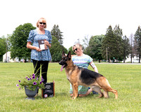 2nd Senior Maturity Dog - Shamrock Falls of AnneIsle-Malibar