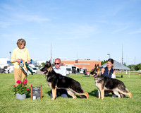 Best Puppy/Best Opposite Puppy - Signature's Piper & Signature's Top Gun