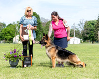 Best In Futurity - Baskerville's Pete of AnneIsle-Malibar