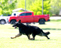 250510_505_DSZ_1193R