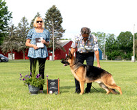 1st Junior Futurity Dog - Steadfast Who Wouldn't Wanna Be Me