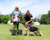 Best Opposite In Futurity - Krystal's Daisy