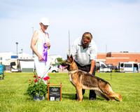 250510_DSC_0732-Edit