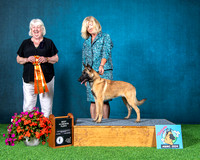 Best 4-6 Month Puppy - Belcol Aixtra Special